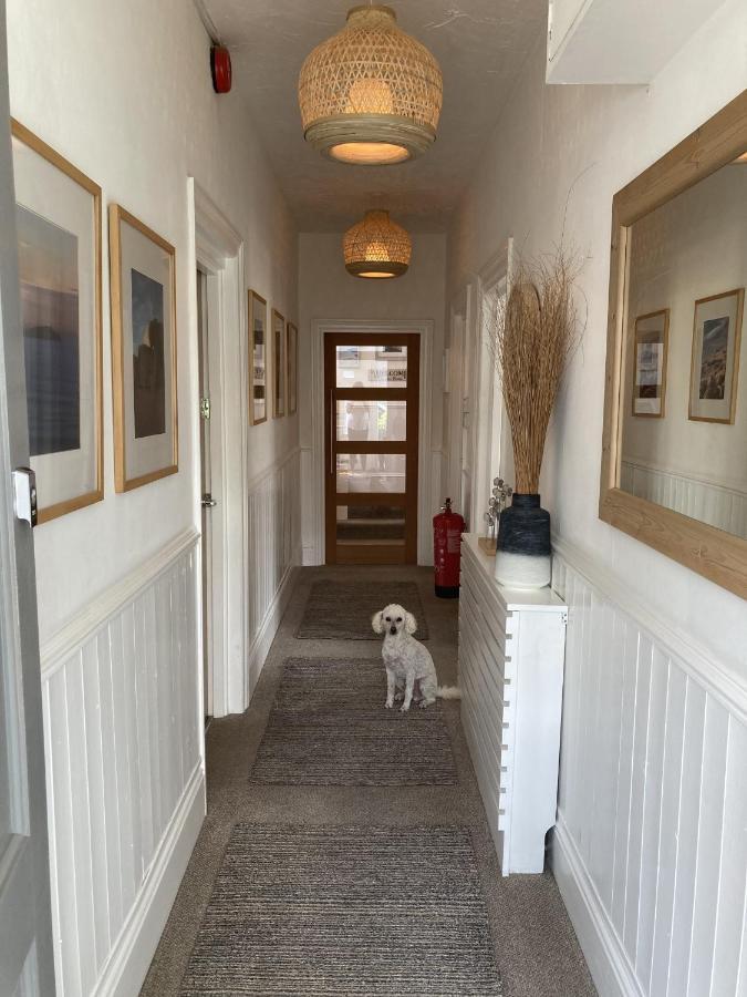 Summer Breeze New Quay Extérieur photo